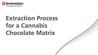 Extraction Process for a Cannabis Chocolate Matrix