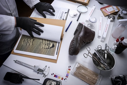 Analytical Solutions for Forensics