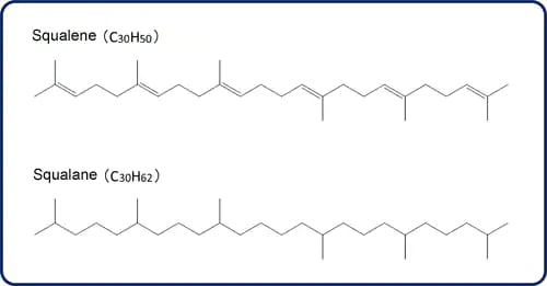 Fig.1 Molecule structures of Squalene and Squalane