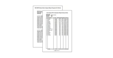 System Gas Chromatography (GC) Software