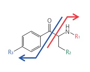 Comprehensive detection of designer drugs with MS/MS mode