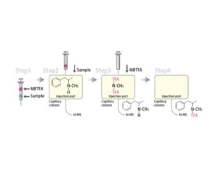 The sample to be analyzed is automatically derivatized using the following procedure.