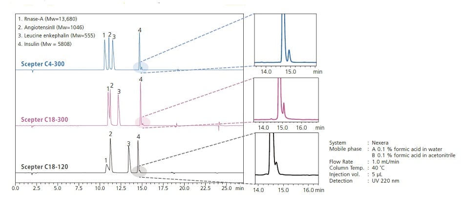 Peptide Analysis Example