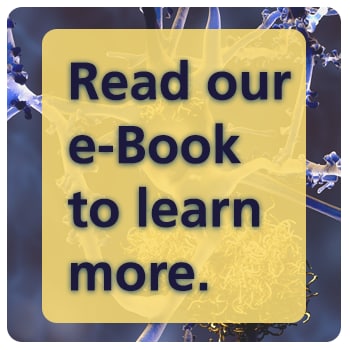 Read our e-book to learn more
