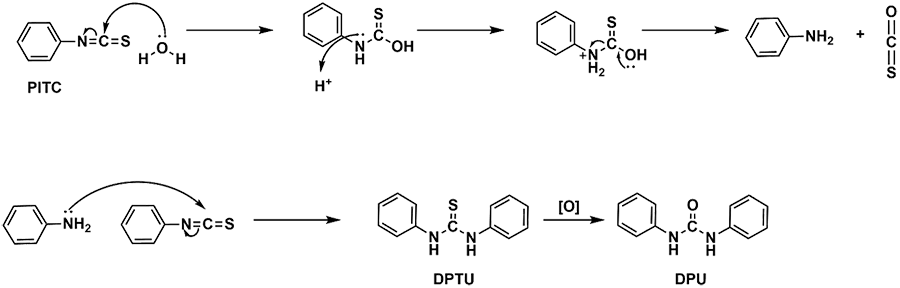 Mechanism for the formation of two by-products commonly seen in the HPLC chromatograms.