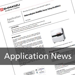 Application News - Heteroduplex Mobility Assay Using MultiNAII
