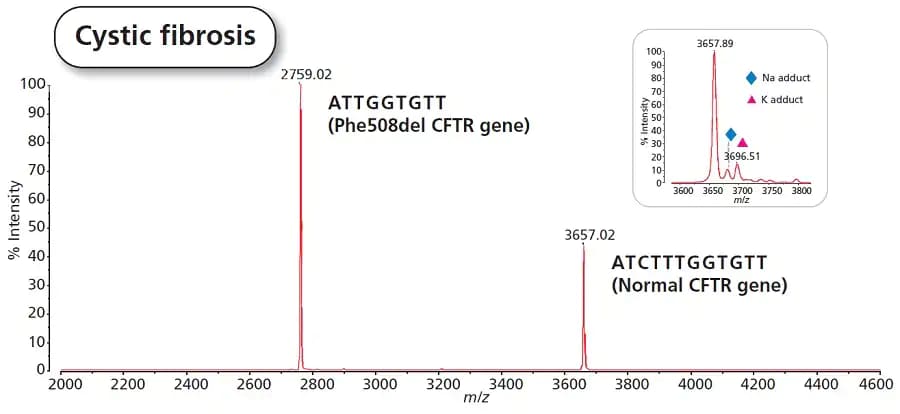 Genotyping  for teaching demonstrations