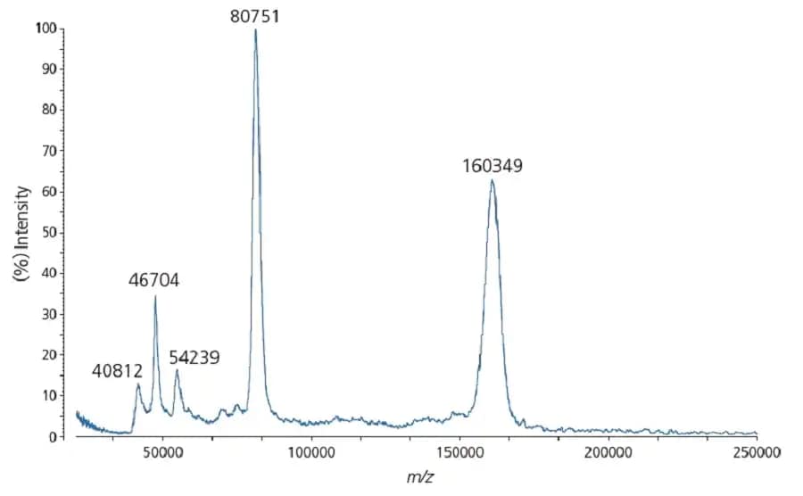 Example of higher mass analysis using immunoglobulin A (IgA)
