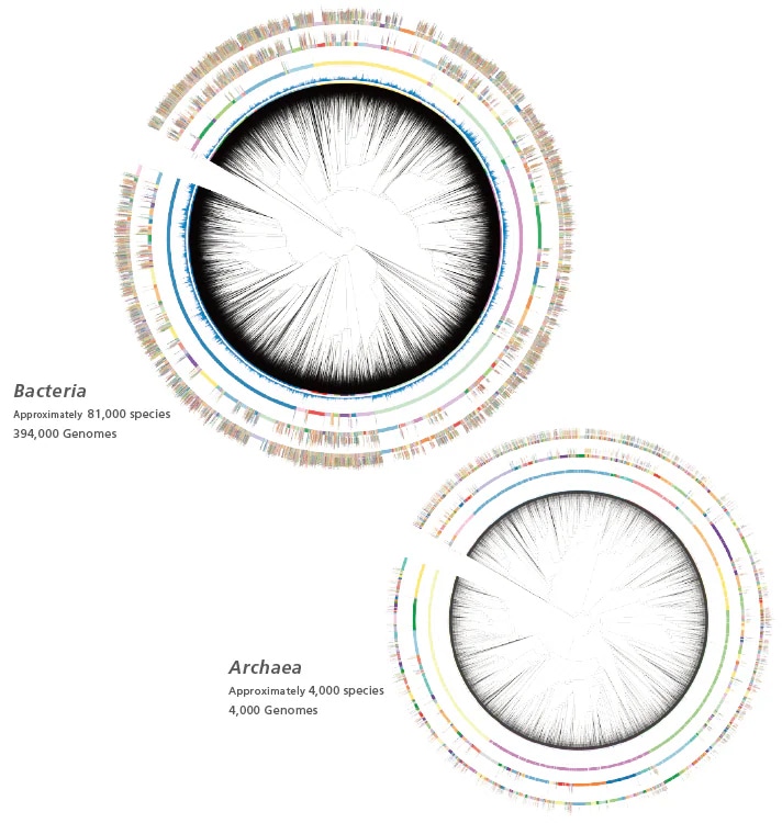 Database Built from Genomic Data