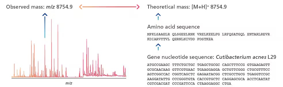 Proteomics-Based Identification