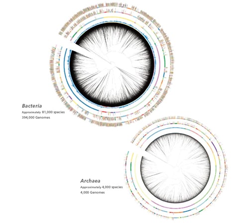 Database Built from Genomic Data