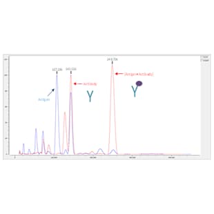 Intact Protein Complex Characterization