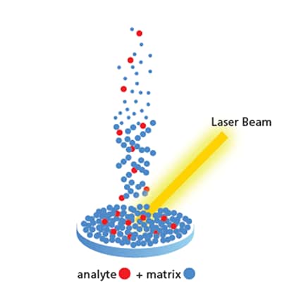 Figure 1. Sample irradiation with laser source, causing both matrix and analyte to vaporize.