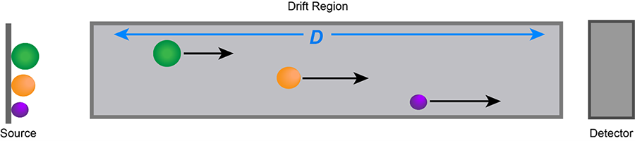 Figure 2. Time-of-Flight in a linear mass spectrometer. Showing the smaller ions reaching the detector faster than the larger ions. Fixed distance of a flight tube is shown as (D).