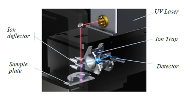 Figure 7. Internal component configuration for the MALDImini-1. 