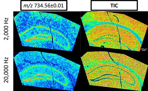 20kHz laser and 5um pixel resolution for fast, routine morphological and molecular analysis