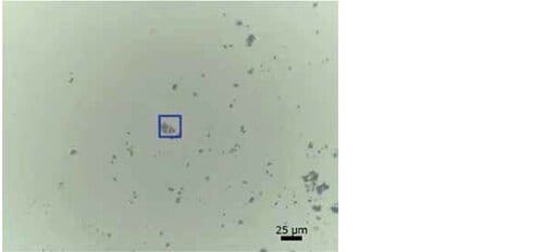 Observation image of the foreign matter on the diamond cell by 15× Cassegrain objective mirror.