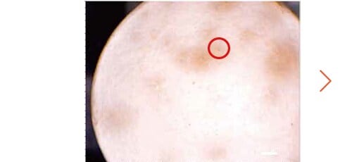 Observation image of the tablet surface approximately 8 mm in diameter with the wide view camera (2× zoom)