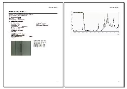 Report Creation Function