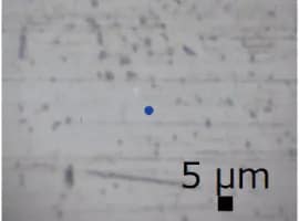 Microscope Image of Microbead