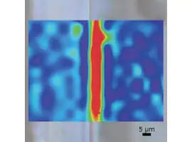 Raman Area Mapping Results Chemical Image of Titanium Oxide (Rutile)