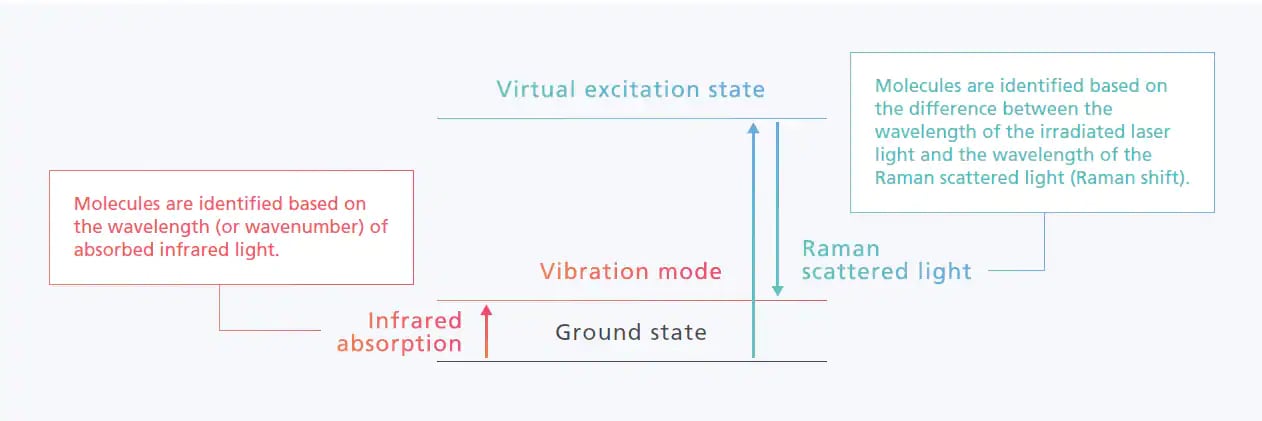 Virtual Excitation State