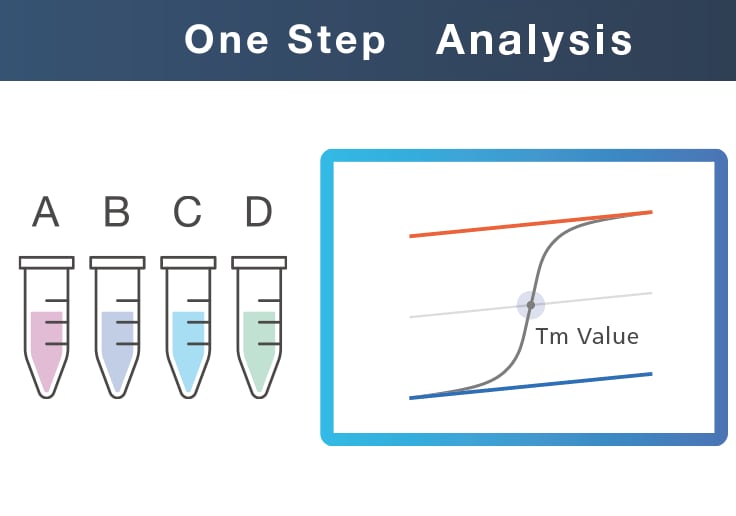 Efficient Automated Workflow for a Tm Analysis System