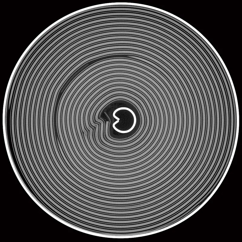 Lithium-Ion Rechargeable Battery Cross Sectional Image&nbsp;FOV = ø18.4 mm