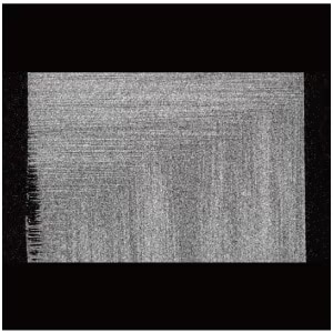 Previous Cross-Sectional Image