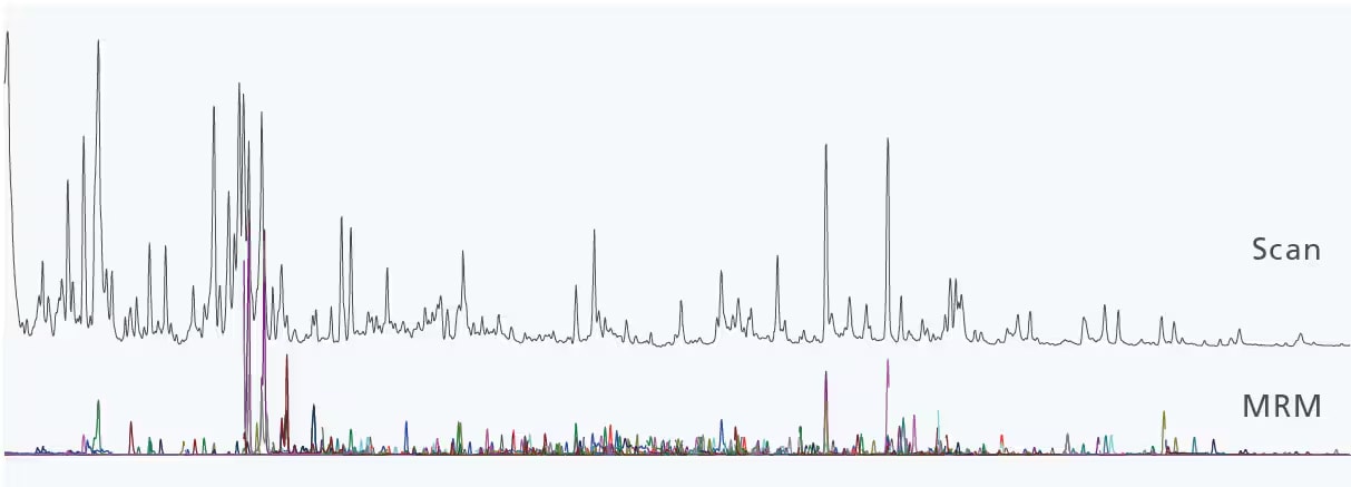 Simultaneous Scan/MRM Analysis of Pesticides in Ginger (10 ppb)