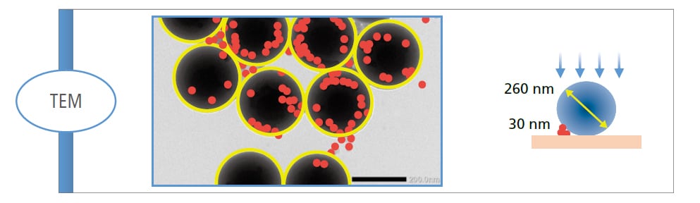 Particle Separation and Measurement - TEM