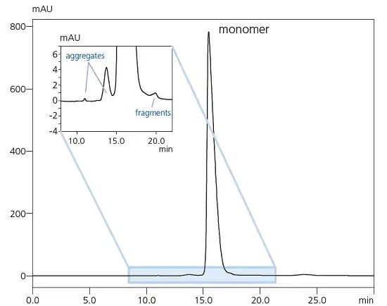 Monoclonal IgG antibody aggregate analysis by size exclusion chromatographyte 