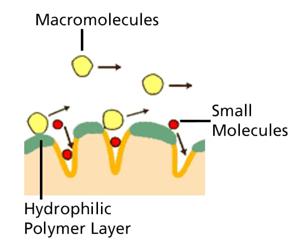 hydrophilic polymer coating technology