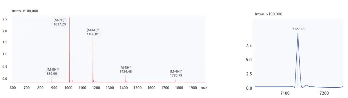 Oligonucleotide (Nusinersen) Mass Spectrum and Deconvolution Results