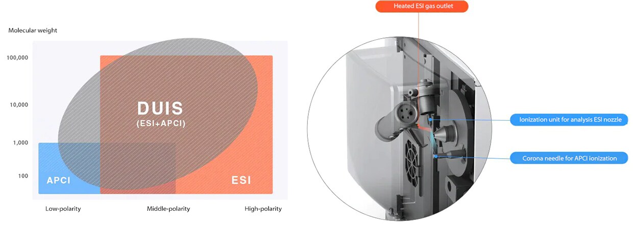 A heated dual ion source (DUIS)