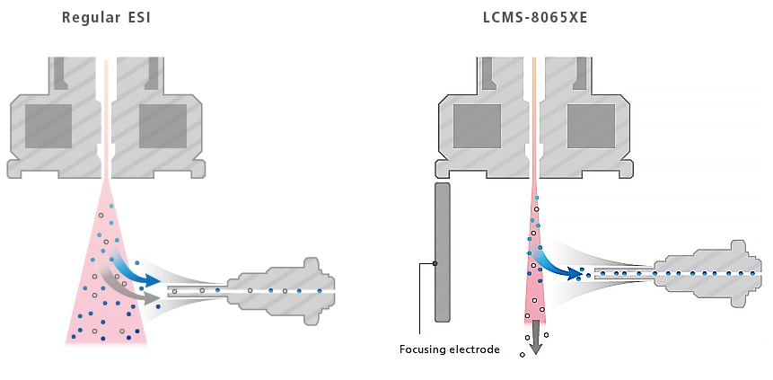 Exploring the Core of High-Sensitivity Analysis