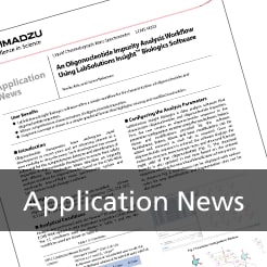 An Oligonucleotide Impurity Analysis Workflow Using LabSolutions Insight™ Biologics Software