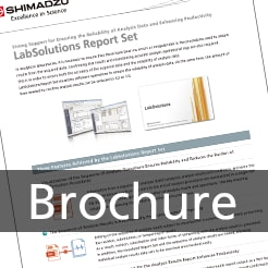 IRSPirit-X Product Brochure PDF
