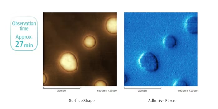 Nano 3D Mapping Fast