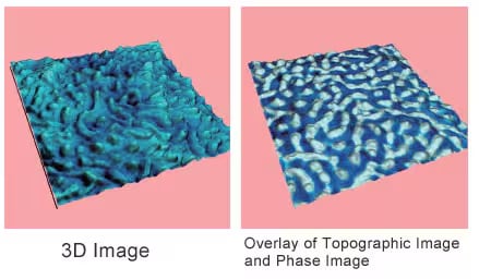 Texture Function