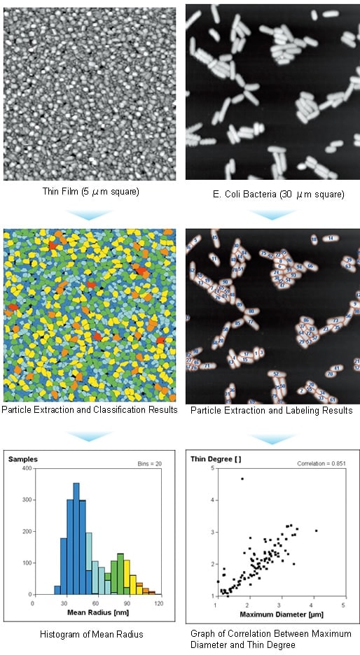Analysis Example
