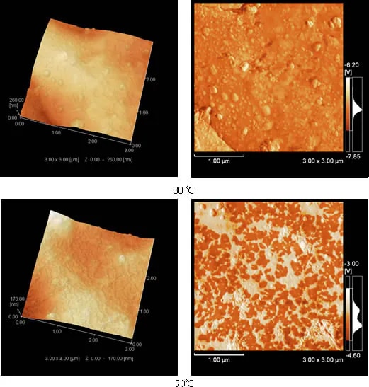 Observation of Heated Polymer Film