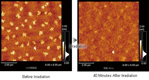 Observation of Ultraviolet Light Irradiating Pentacene Thin Film on SrTiO3