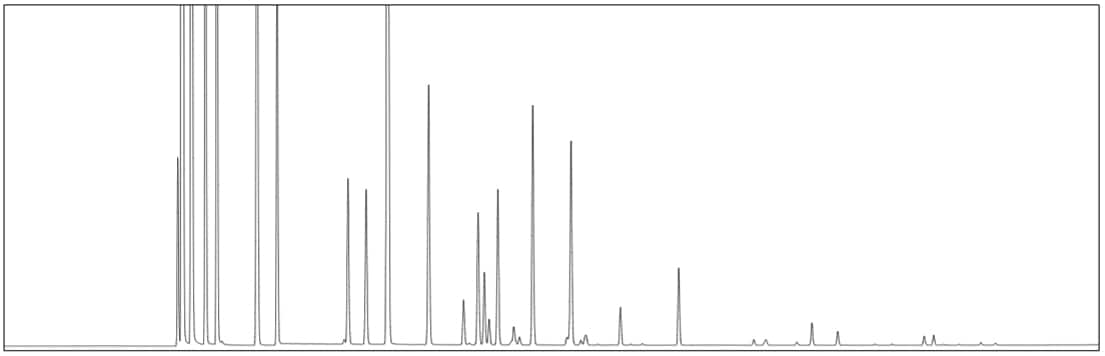 FID Chromatogram for Liquefied Natural Gas