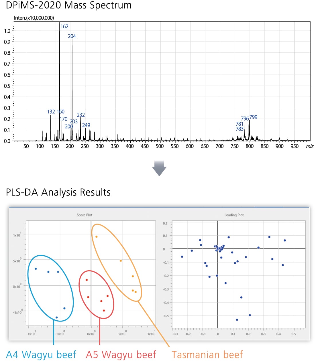 Flexible Dynamic Grouping Function