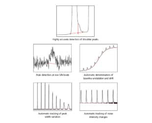 Peak Integration Algorithm