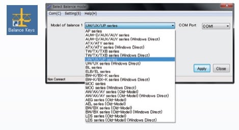 Select Balance model Window