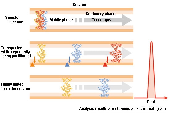 gas-chromatography-separation