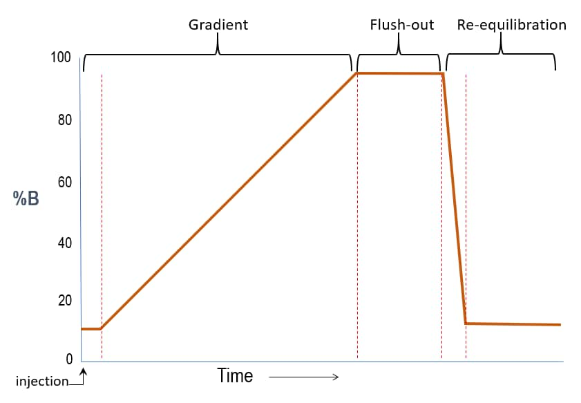 hplc-screening-gradients