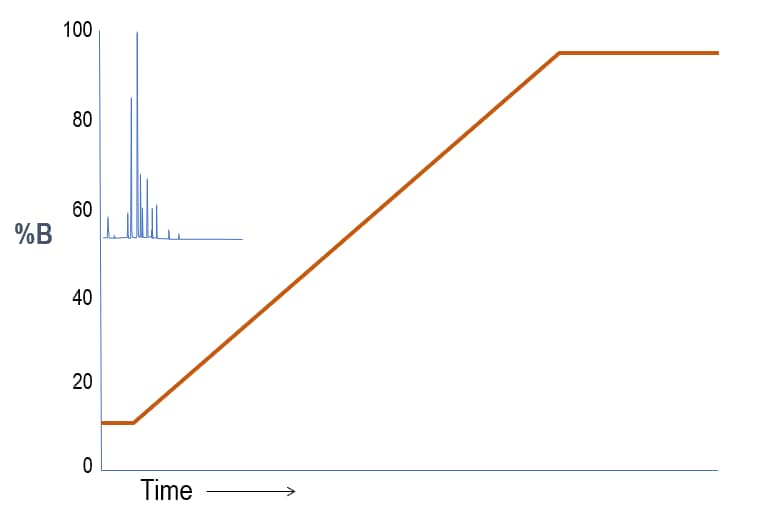 hplc-screening-gradients